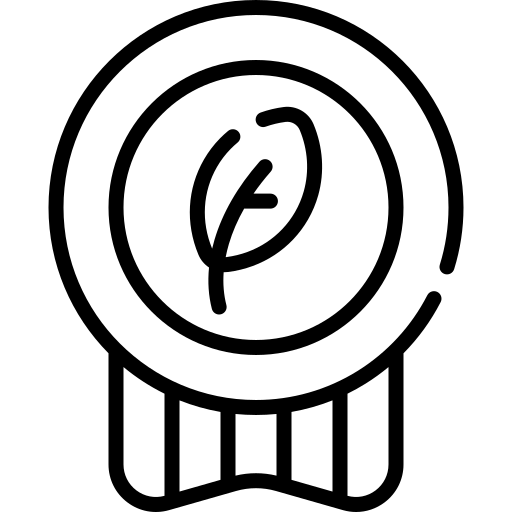 Key Features Icon 